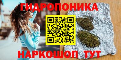 эйфоретик Малгобек