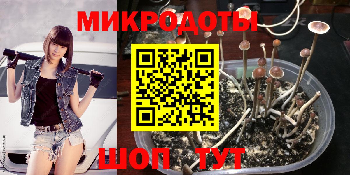Псилоцибиновые грибы Magic Shrooms Великий Новгород
